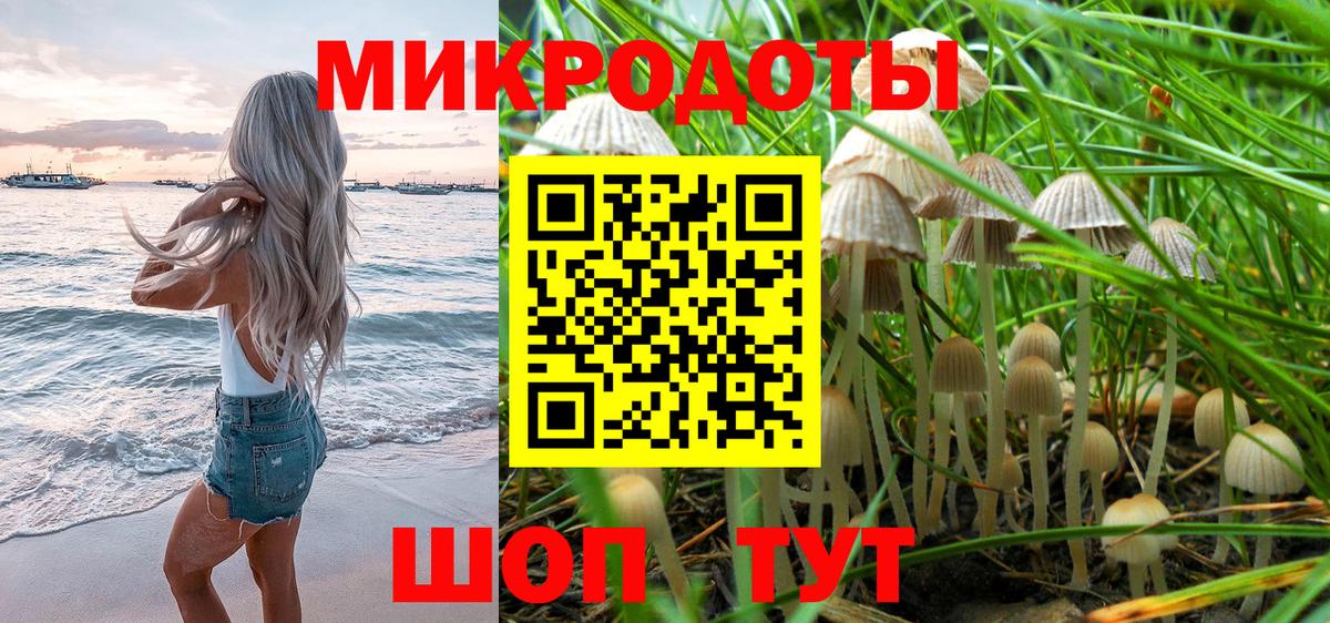 Псилоцибиновые грибы Psilocybe  Вход с VPN  Белебей 