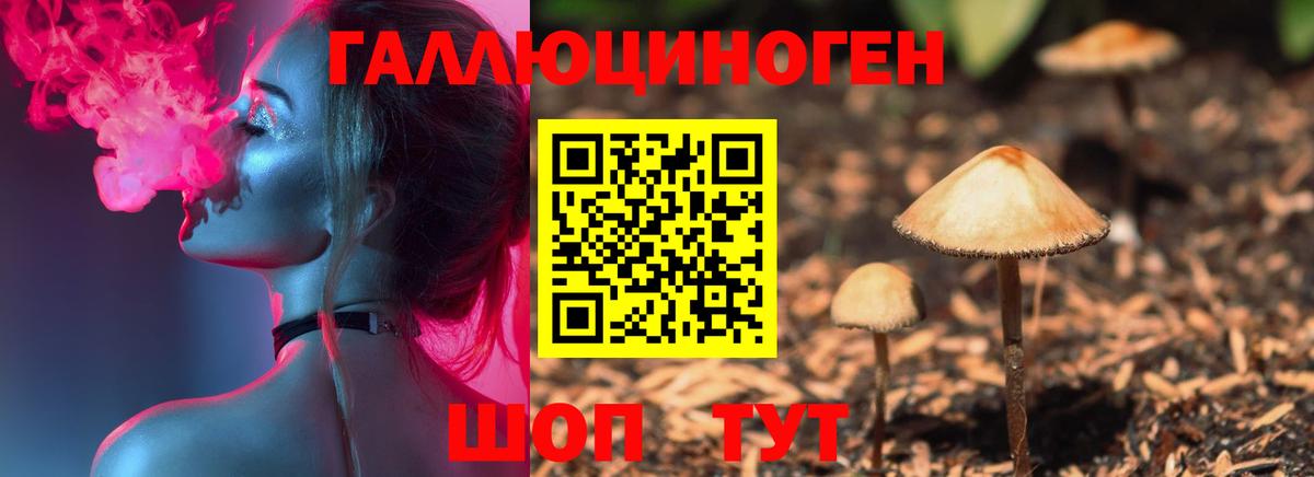 Галлюциногенные грибы мицелий Белебей